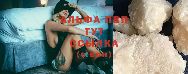 сатива Заводоуковск