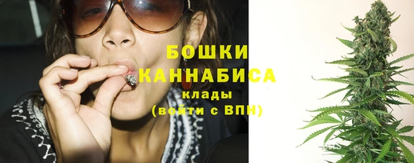 молекула духа Заволжье