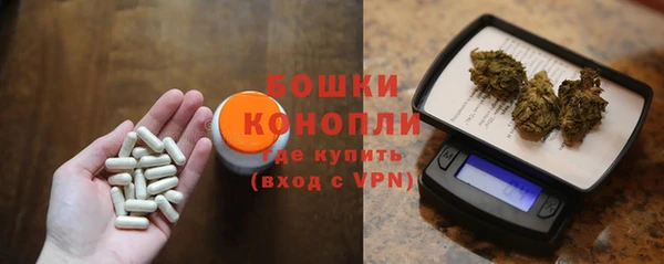 сатива Заводоуковск