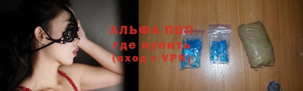 сатива Заводоуковск