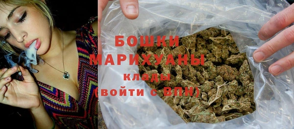 молекула духа Заволжье
