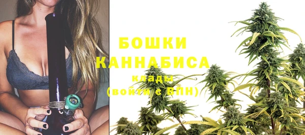 молекула духа Заволжье