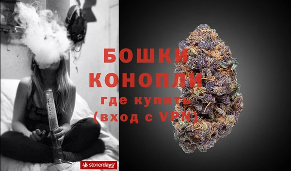 молекула духа Заволжье
