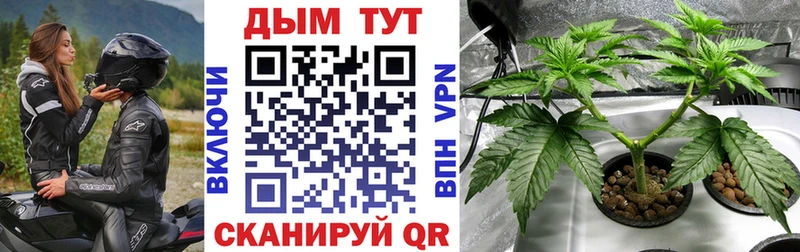 Купить где  Ясногорск  Бошки марихуана сатива 